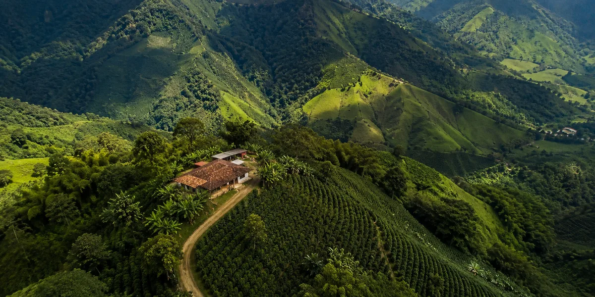 Aerial view of a coffee finca in Antioquia